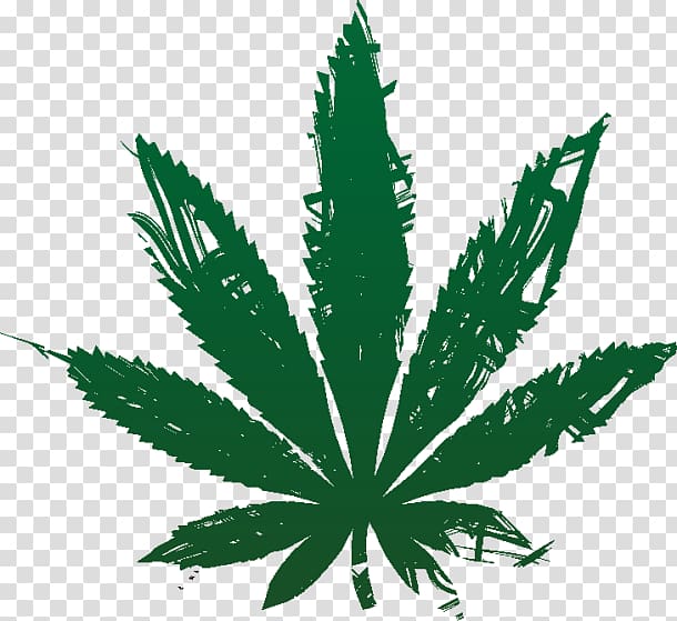 Cannabis Open graphics Illustration, cannabis transparent background PNG clipart