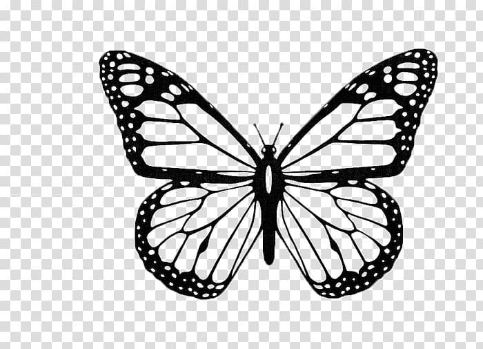 Monarch butterfly Black and white Insect , butterfly aestheticism transparent background PNG clipart