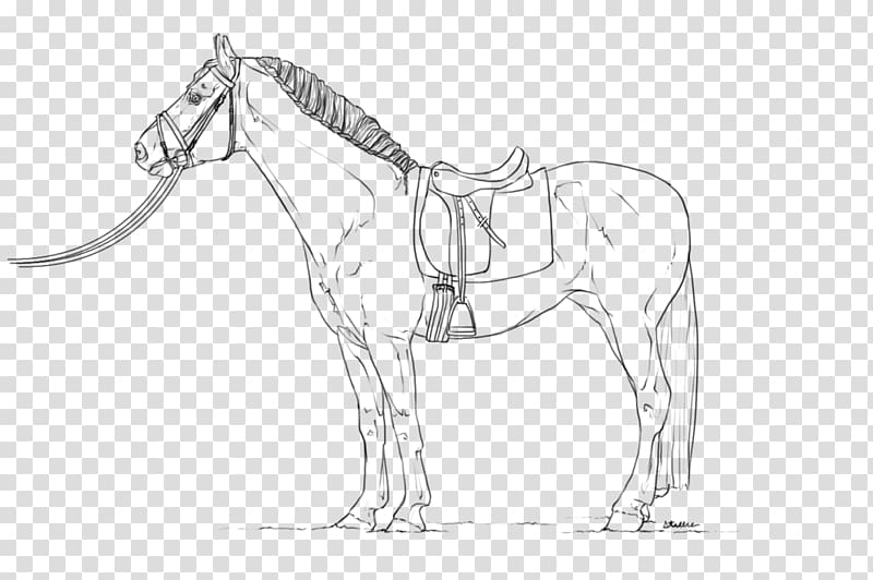 Horse Line art Dressage Equestrian Drawing, horse transparent background PNG clipart