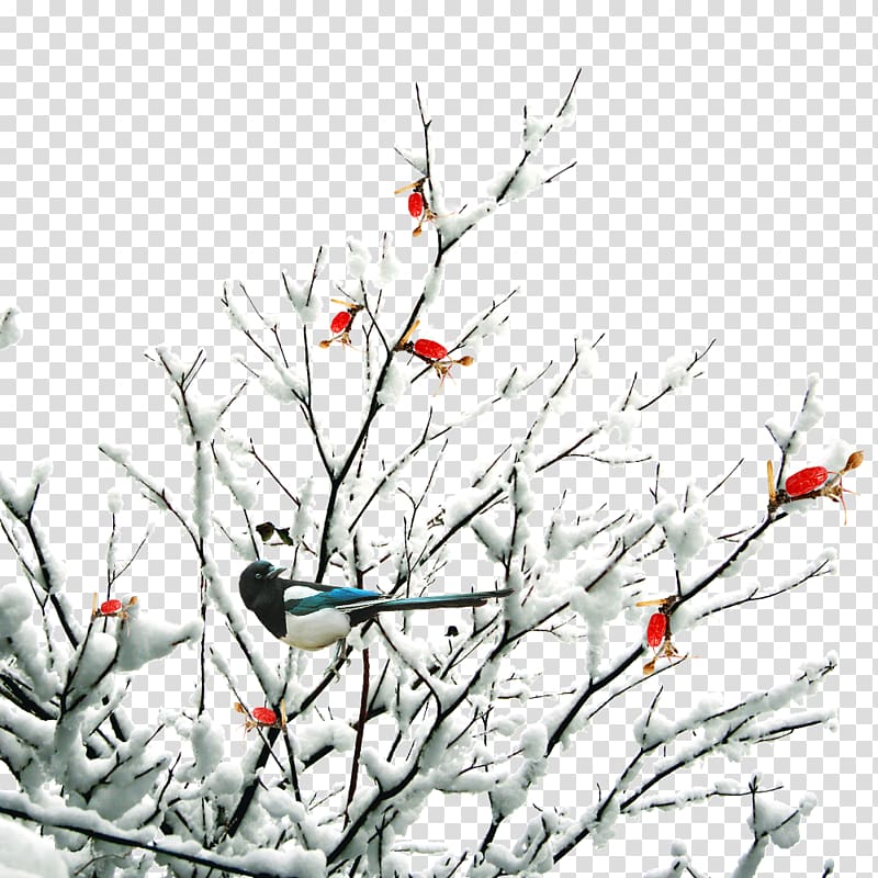 Twig Daxue Snow Winter, Free creative pull twigs winter snows transparent background PNG clipart