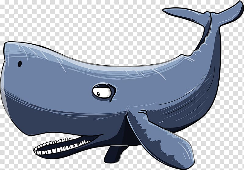 Sperm whale Portable Network Graphics Cetacea , sperm transparent background PNG clipart