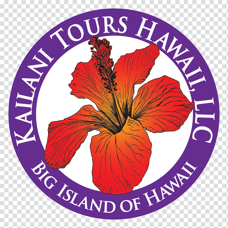 Mauna Kea Mauna Loa Kīlauea Kailani Tours Hawaii Volcano, Dental medical equipment transparent background PNG clipart