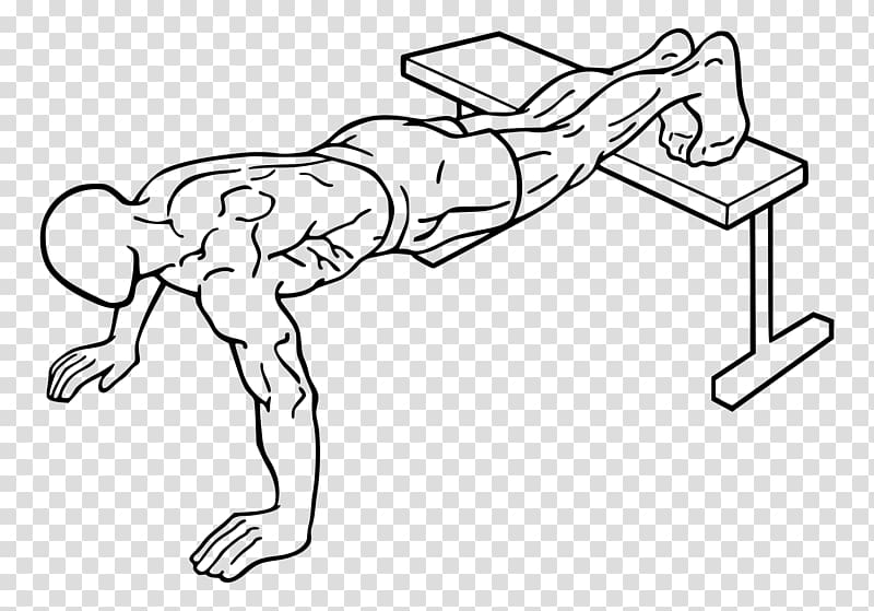 Physical exercise Push-up Bodyweight exercise Strength training Exercise Balls, bench transparent background PNG clipart