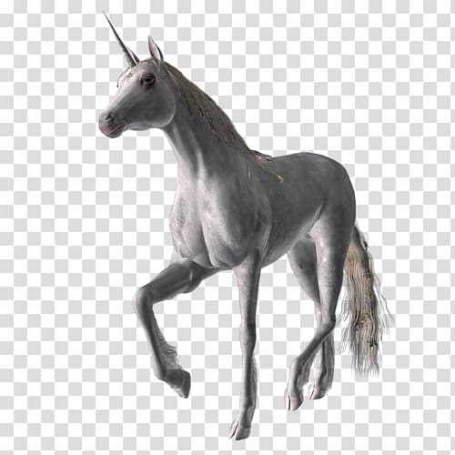 Unicorn Flying horses Pegasus Painting Foal, unicorn transparent background PNG clipart