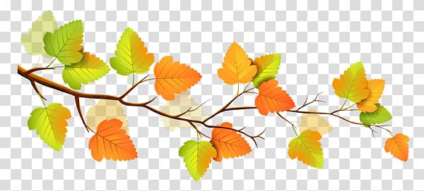 yellow leaves, Autumn Branch transparent background PNG clipart
