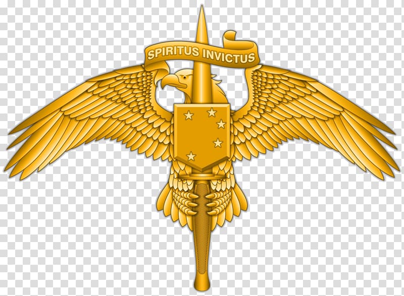 Marine Raider Regiment United States Marine Corps Forces Special Operations Command Special forces, military transparent background PNG clipart