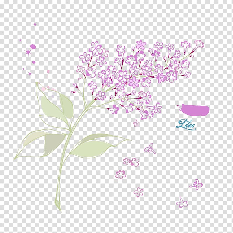 Petal Flower Syzygium aromaticum, lilac transparent background PNG clipart