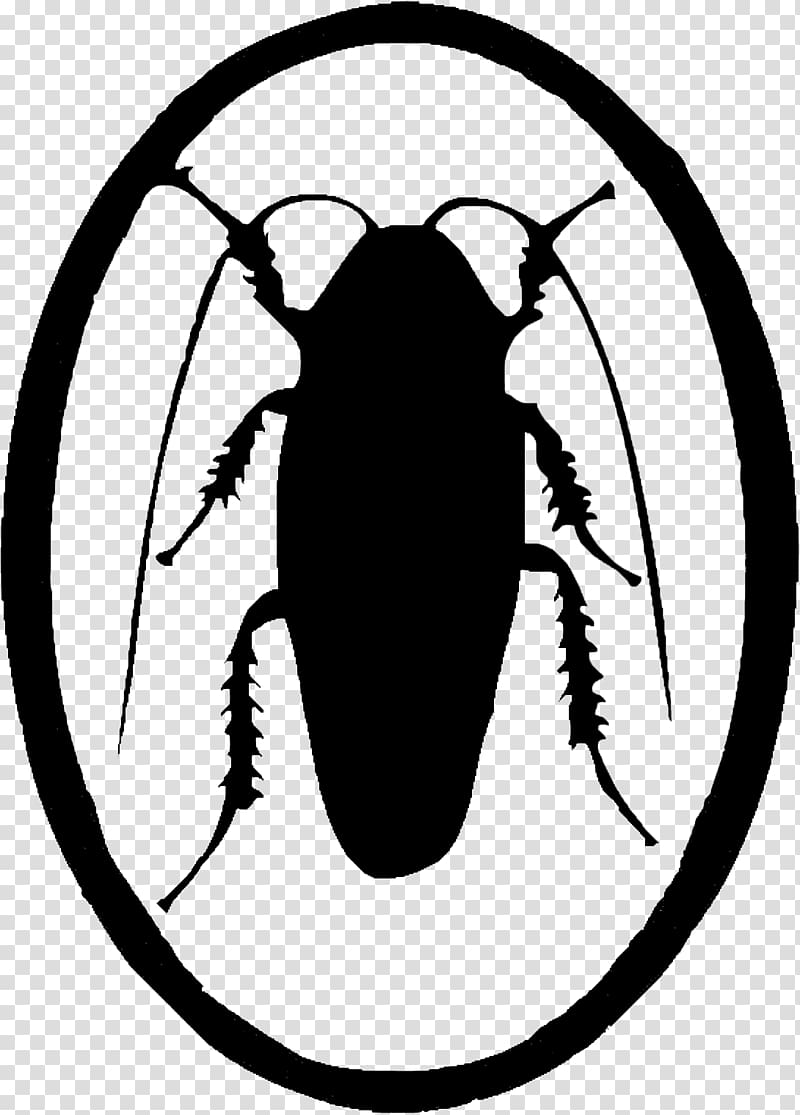 German cockroach Insect Butterfly, cockroach transparent background PNG clipart