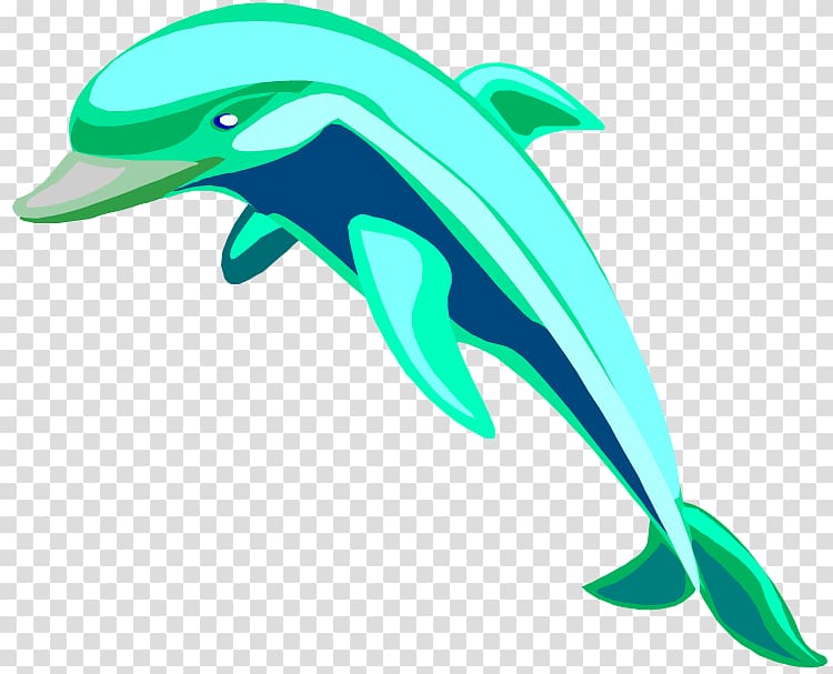 Spinner dolphin Bottlenose dolphin Free content , Ys transparent background PNG clipart