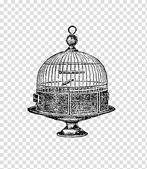 Birdcage Domestic canary, bird cage transparent background PNG clipart