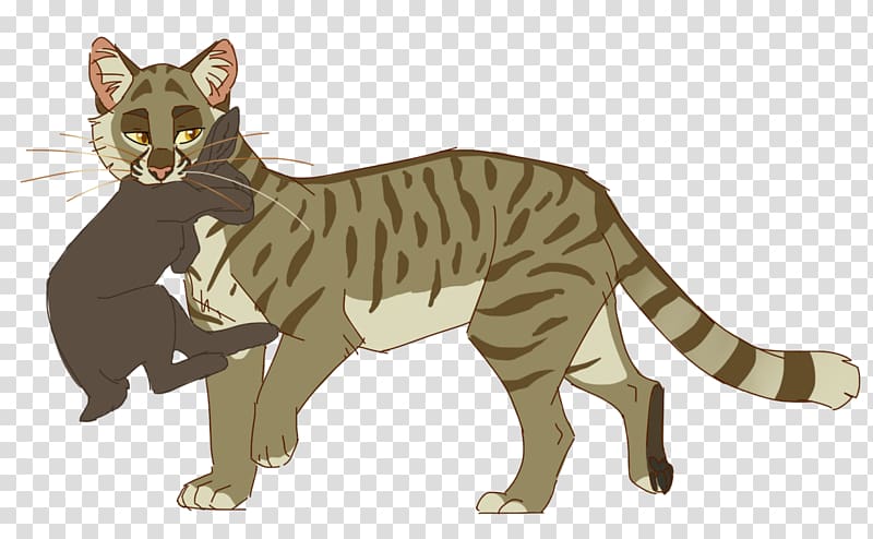 Cat Warriors Whiskers Onestar Leafpool, Cat transparent background PNG clipart