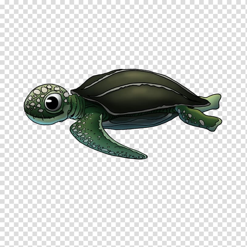 Sea turtle Pond turtles, turtle animated transparent background PNG clipart