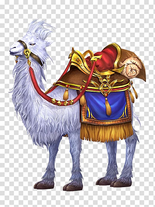 Dromedary Bactrian camel Wikia, others transparent background PNG clipart