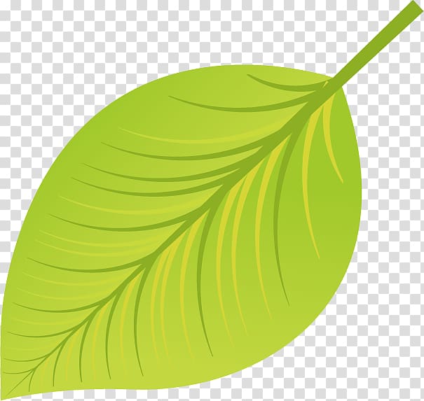 Green Leaf Euclidean , Yellow green leaves material Free dig transparent background PNG clipart