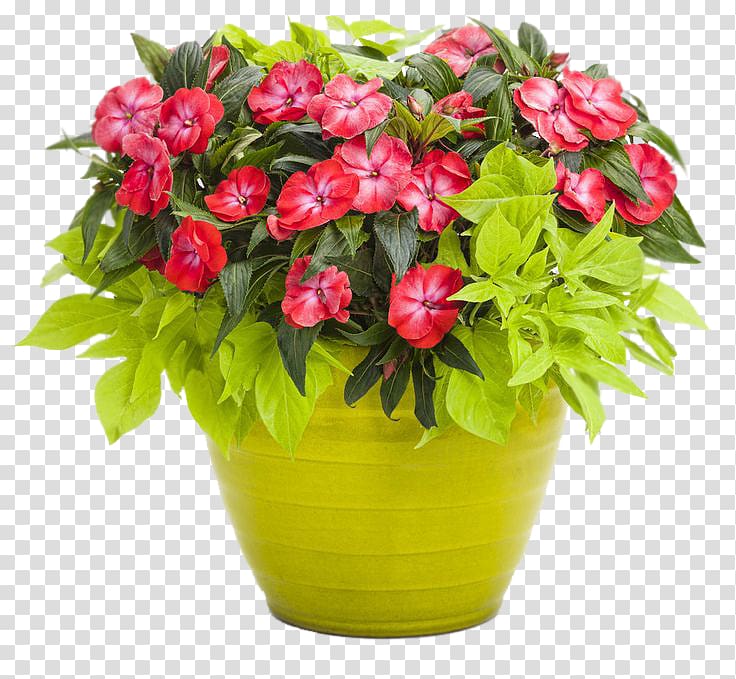 Container garden Flowerpot Shipping container Gardening, others transparent background PNG clipart