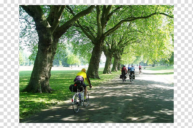 Road bicycle Victoria Park, London Mountain bike Adventure, park transparent background PNG clipart