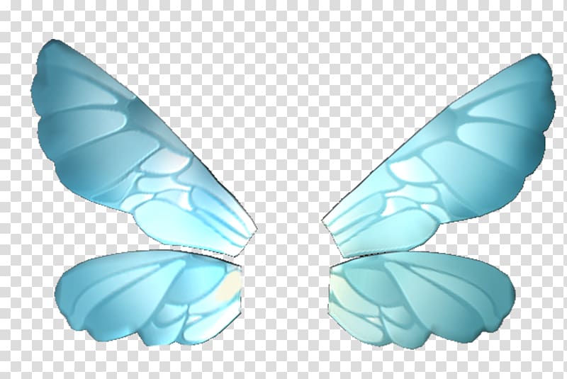 butterflywings Birdwing Sticker, butterfly transparent background PNG clipart