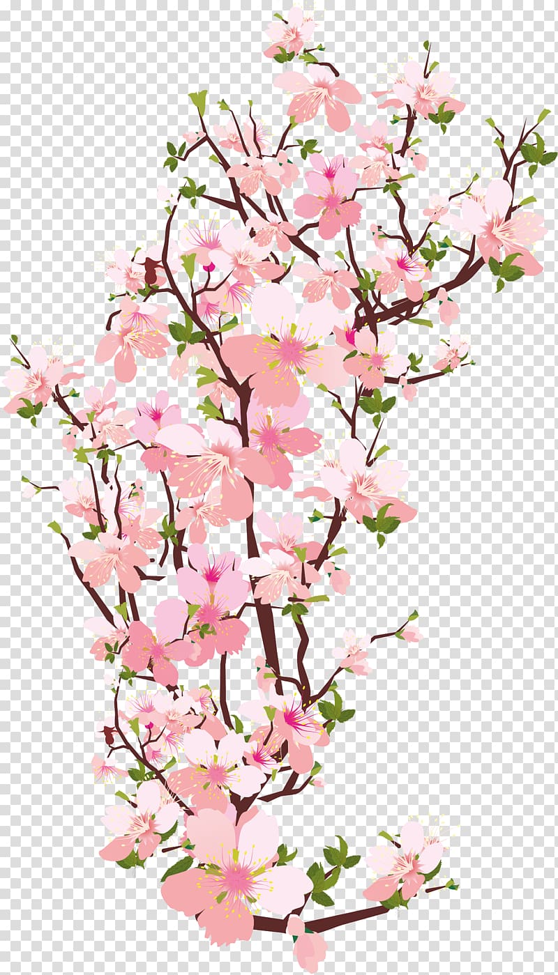 pink cherry blossoms art, National Cherry Blossom Festival Branch, sakura transparent background PNG clipart