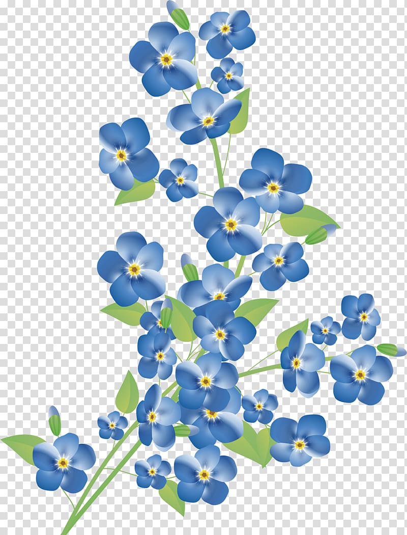 Scorpion grasses , blue flower border transparent background PNG clipart