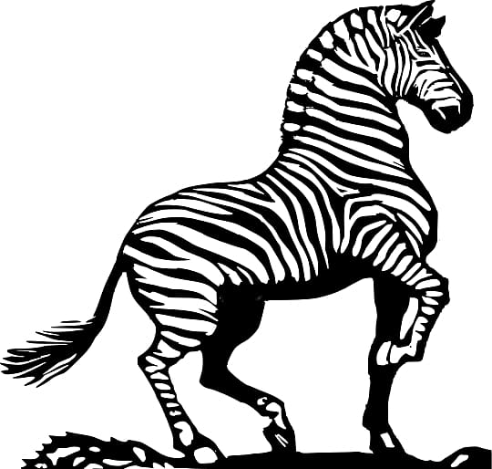 Zebra Horse Black and white , Bold Line transparent background PNG clipart