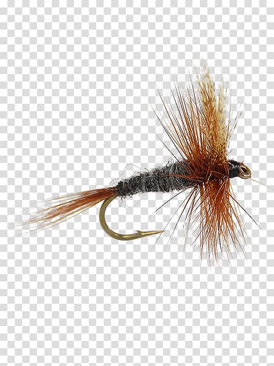 Fly fishing Fishing Baits & Lures Angling Adams, Fly Tying transparent background PNG clipart