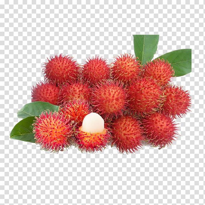 red rambutans, Rambutan Tropical fruit Food Pineapple, dragon fruit transparent background PNG clipart
