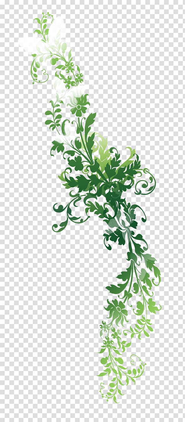 green and white butterfly and leaves, Flower Desktop , nature transparent background PNG clipart