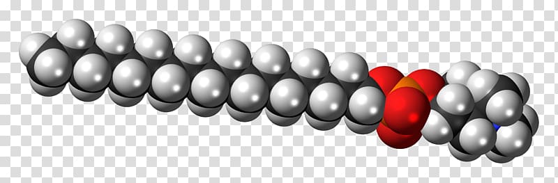 Phospholipid Space-filling model Molecule Phosphatidylinositol Zwitterion, ball transparent background PNG clipart