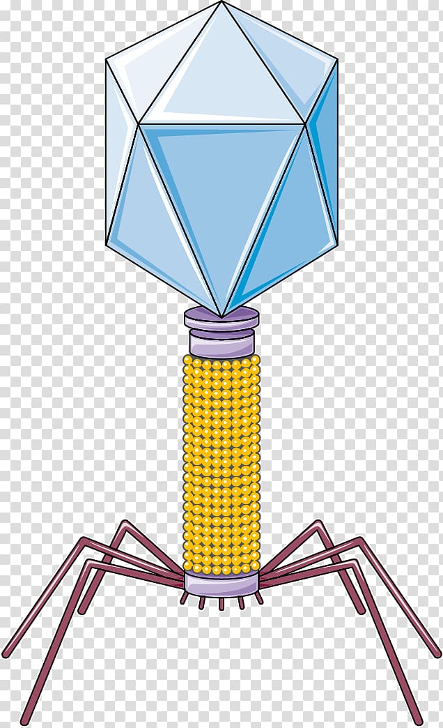 Bacteriophage Bacteria Servier Medical Virus, bacteriophage transparent background PNG clipart
