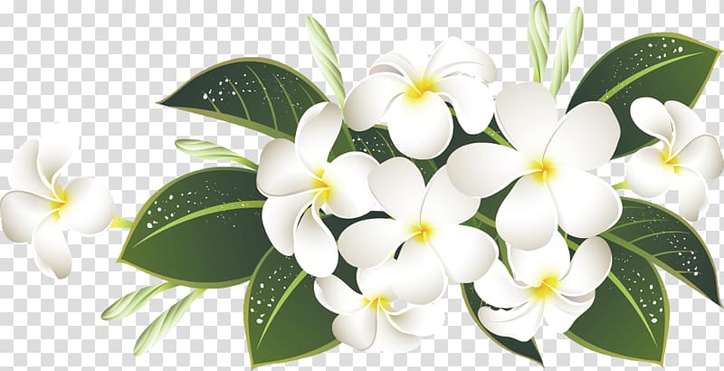 Flower , flower transparent background PNG clipart | HiClipart