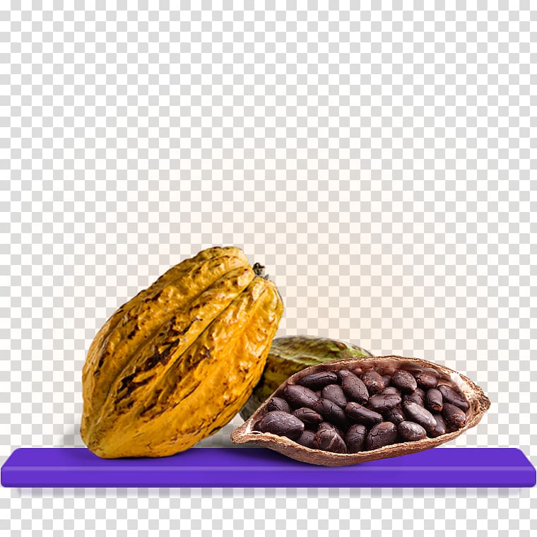 Cocoa bean Vegetarian cuisine Chocolate Theobroma cacao, chocolate transparent background PNG clipart