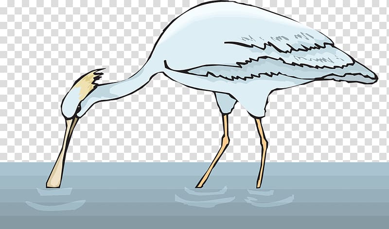 white red-crowned crane transparent background PNG clipart