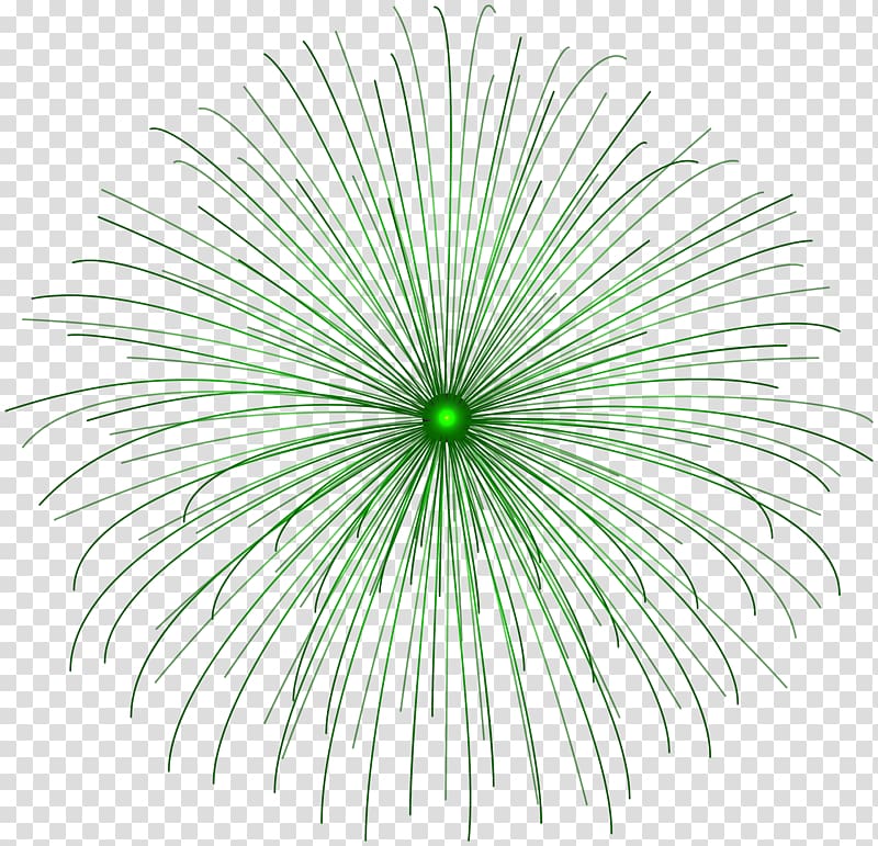 Adobe Fireworks , Green Firework Circle transparent background PNG clipart