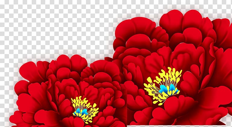 Moutan peony Tangyuan , Red Peony transparent background PNG clipart