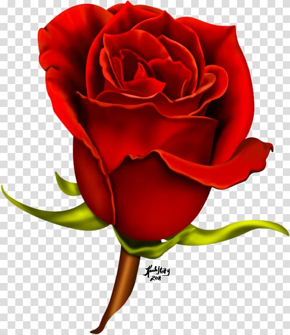 Rose Flower , Wedding Cartoon Psd transparent background PNG clipart