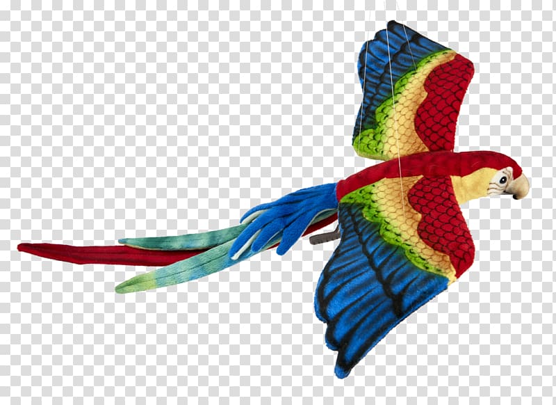 Macaw Feather Parakeet Tropical forest Reptile, Scarlet Macaw transparent background PNG clipart