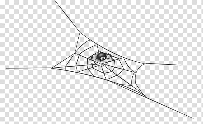 Spider web Drawing, spider transparent background PNG clipart