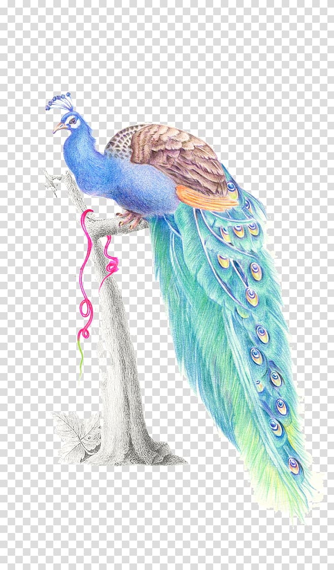multicolored peafowl on tree trunk illustration, Feather Watercolor painting Peafowl, peacock transparent background PNG clipart