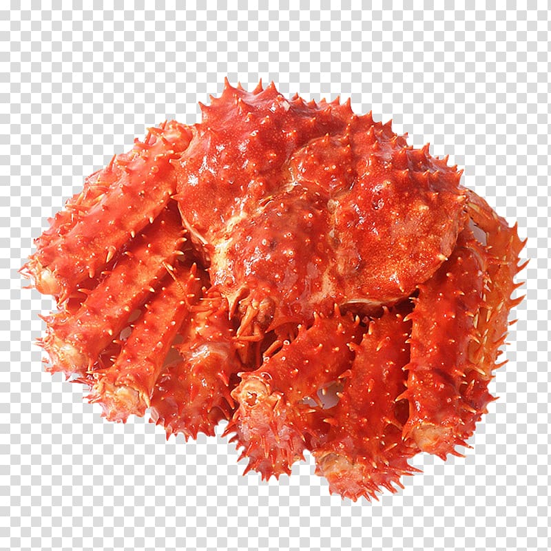 King crab Pandalus borealis Seafood Crab meat, King Crab Seafood transparent background PNG clipart