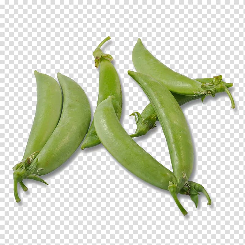 Yardlong bean Snap pea Vegetable Common Bean, Free Tiandou pull material transparent background PNG clipart