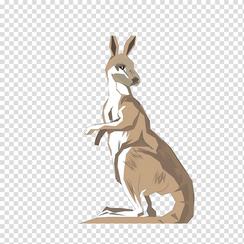Australia Kangaroo Drawing , Standing back to see kangaroo transparent background PNG clipart