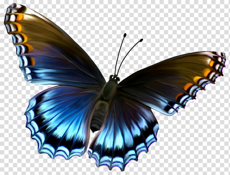 Monarch butterfly Blue , Amazing Butterfly transparent background PNG clipart