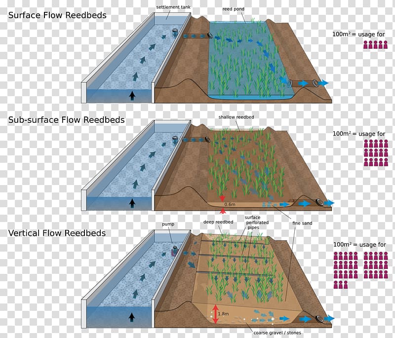 Sewage treatment Waste stabilization pond Wastewater Biologinen vedenpuhdistus Reed bed, water transparent background PNG clipart