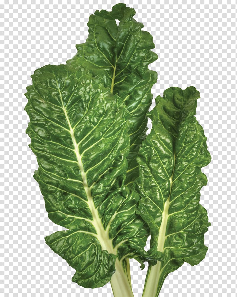Lacinato kale Chard Collard greens Spinach Spring greens, others transparent background PNG clipart