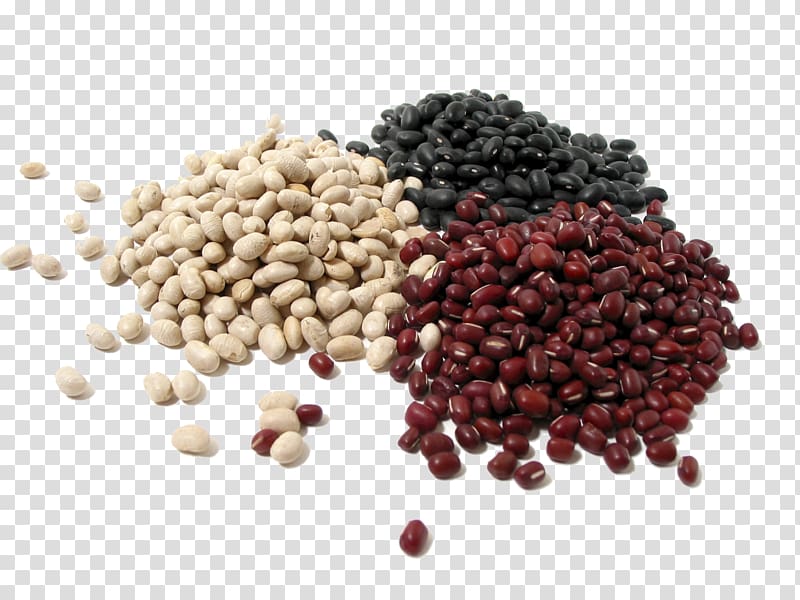Bean Nut Dried Fruit Protein Seed, meat transparent background PNG clipart