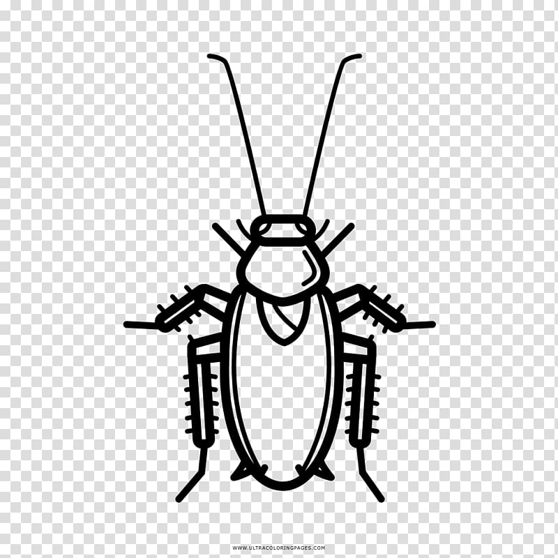 Cockroach Drawing Coloring book Black and white, cockroach transparent background PNG clipart