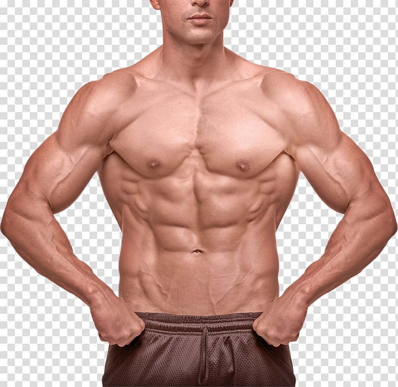 Strength training Coupon Muscle Gear Weight training, Sexy man transparent background PNG clipart