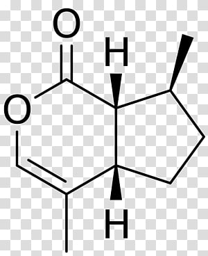 Cat pheromone Felidae Nepetalactone Chemical structure, Cat transparent background PNG clipart thumbnail