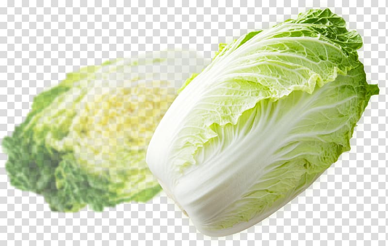 Romaine lettuce Napa cabbage Cruciferous vegetables Savoy cabbage Asazuke, chinese cabbage transparent background PNG clipart