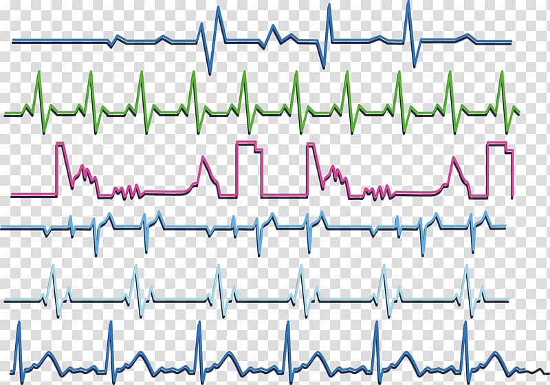 Heart rate Euclidean , Colorful heart rate transparent background PNG clipart